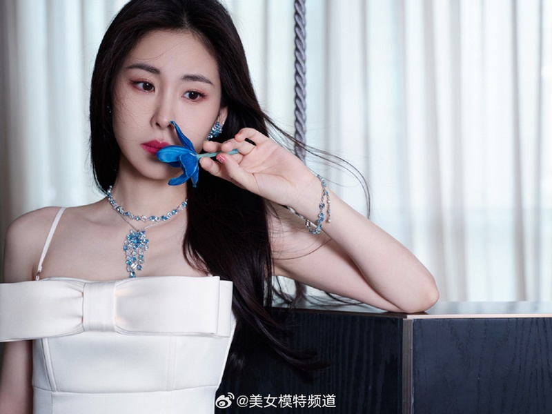 张碧晨